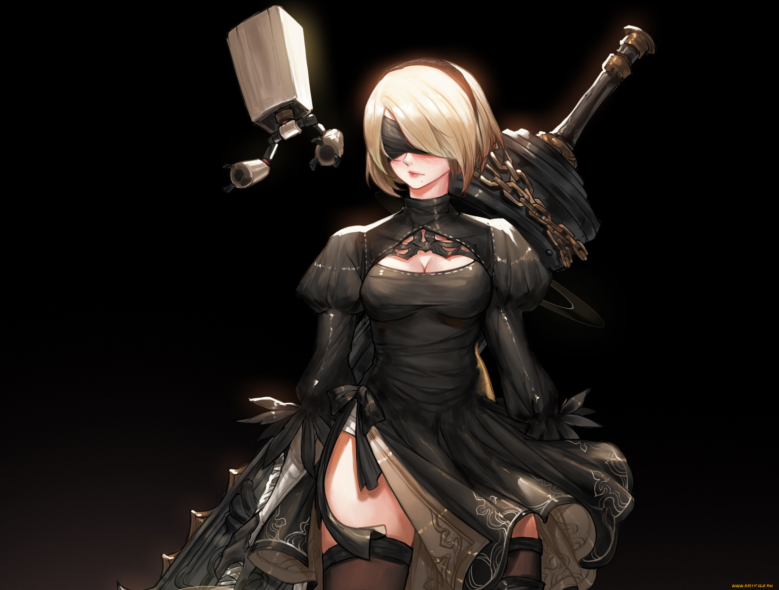  , nier,  automata, 